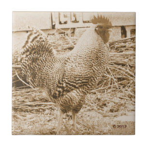 Vintagestiltuppen fotograferar kakelplatta