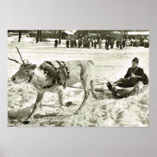 Vintagesverige, rensleigh, Folk museum, Poster
