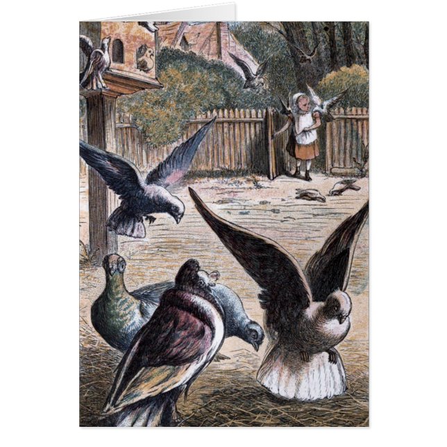 Vintageteckning: Bärare Pidgeons Hälsningskort (Framsidan)