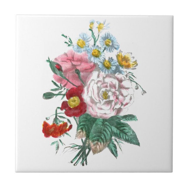 Vintageteckning: Bengal ro Kakelplatta (Framsidan)