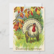 Vintagethanksgiving Turkiet