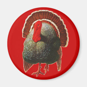 Vintagethanksgiving Turkiet Magnet