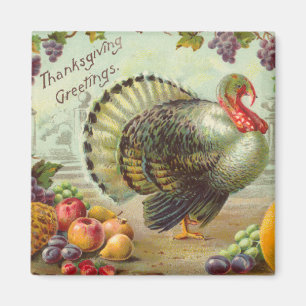 Vintagethanksgivinghälsningar kvadrerar magneten magnet