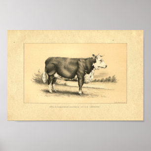 Vintagetjurtryck 1888 poster