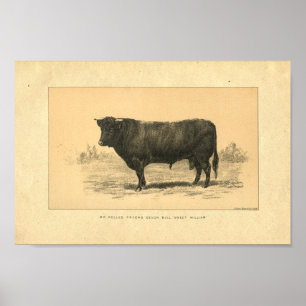 Vintagetjurtryck 1888 poster