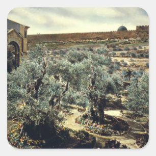 Vintageträdgård av Gethsemane Jerusalem Israel Fyrkantigt Klistermärke