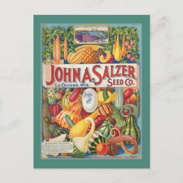 Vintageträdgården kärnar ur paketvykortet vykort (Framsida)