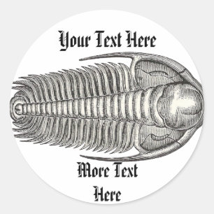 VintageTrilobite klistermärke