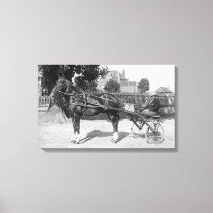 Vintagetrotter och sulky canvastryck