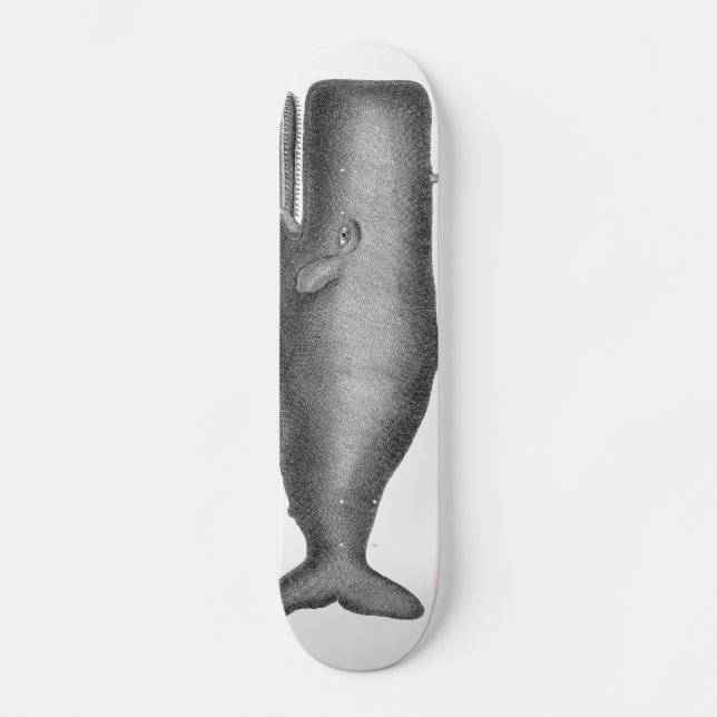 Vintageval Skateboard Bräda 19,5 Cm (Framsida)