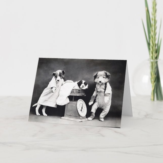 Vintagevalpar och kattungar noterar kort (Framsida)