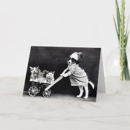 Vintagevalpar och kattungar noterar kort