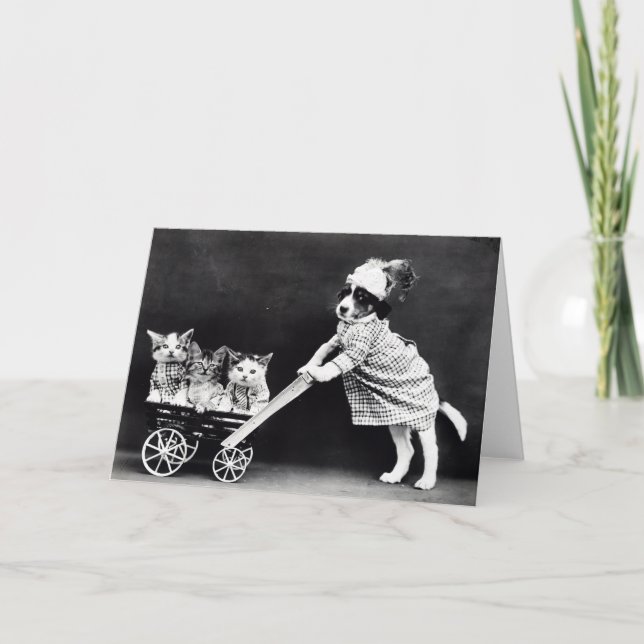 Vintagevalpar och kattungar noterar kort (Framsida)