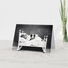 Vintagevalpar och kattungar noterar kort