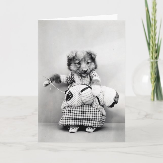 Vintagevalpar och kattungar noterar kort (Framsida)
