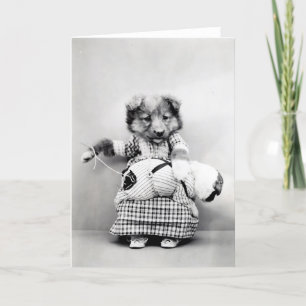 Vintagevalpar och kattungar noterar kort