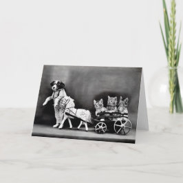 Vintagevalpar och kattungar noterar kort