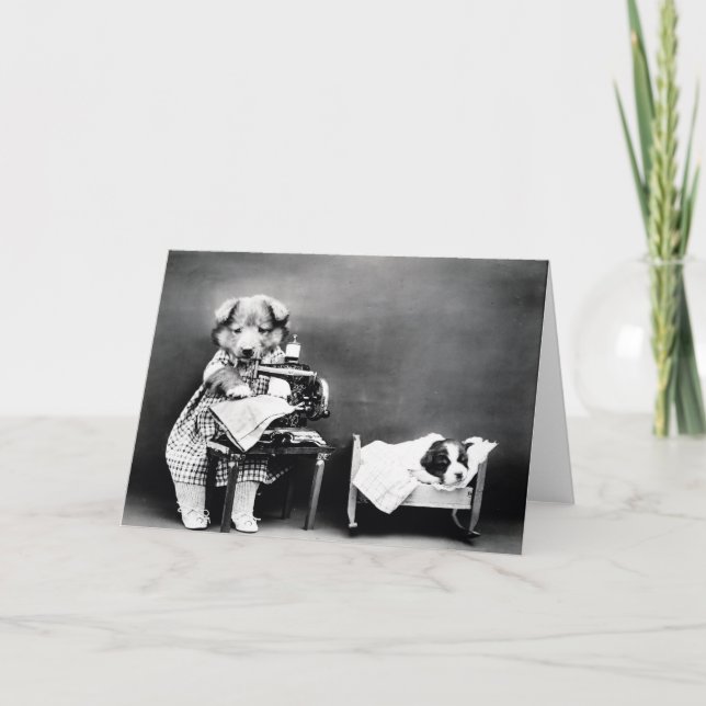Vintagevalpar och kattungar noterar kort (Framsida)