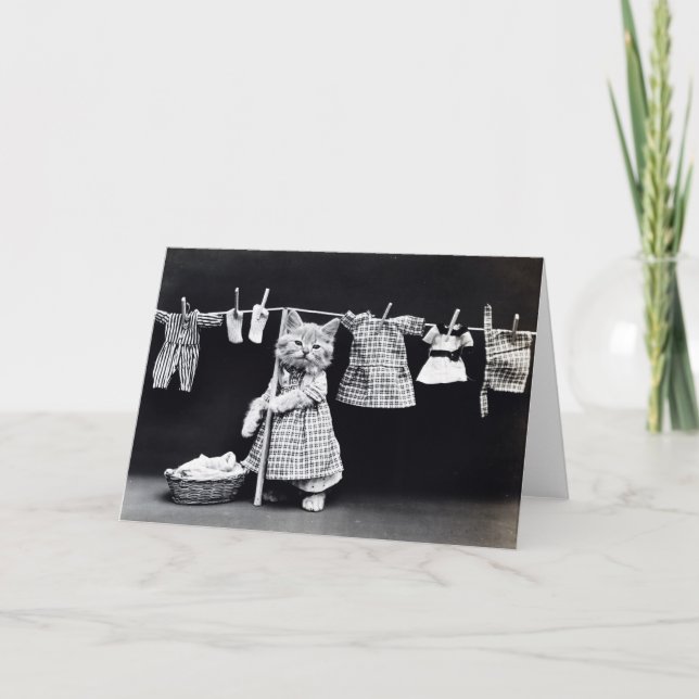 Vintagevalpar och kattungar noterar kort (Framsida)