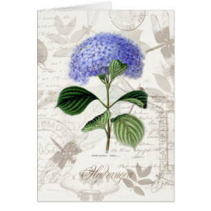 Vintagevanlig hortensia hälsningskort