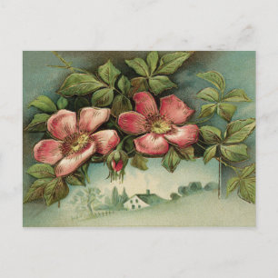 Vintagevildro Vykort
