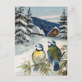 Vintagevintervykort med fåglar vykort