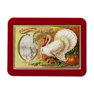 Vintagevit Turkiet Magnet