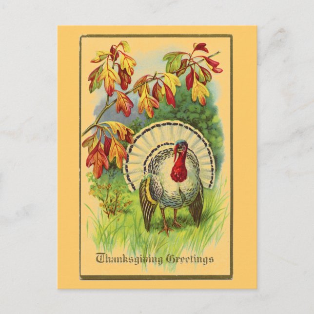 Vintagevit Turkiet Vykort (Framsida)