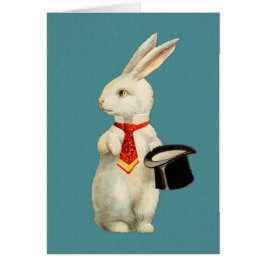 Vintagevitkanin OBS Kort