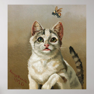 Vintagevitkatt med bikonstaffischen poster