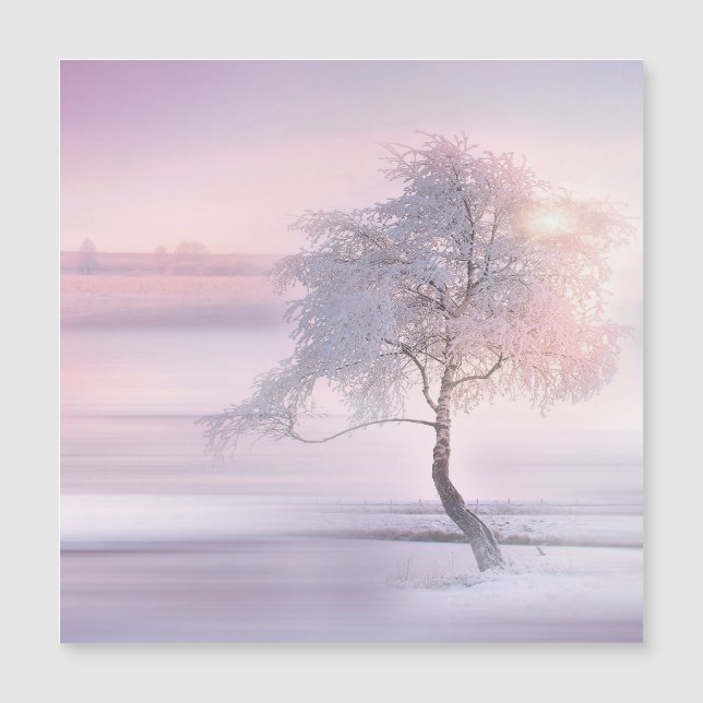 Vinter 05 (Framsida)