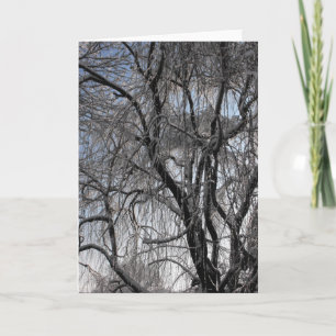 Vinter ~ 24 helgkort