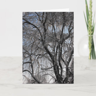 Vinter ~ 24 helgkort