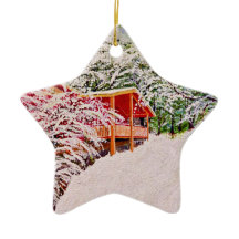 "Vinter at the Little Red Cabin".