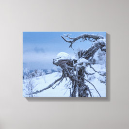 Vinter av träutomjording canvastryck