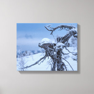 Vinter av träutomjording canvastryck
