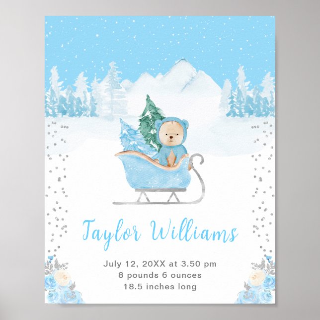 Vinter Björn Blå Släd Födelsestatistik Poster (Framsidan)