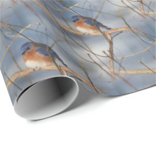 Vinter blåfågel naturmönster presentpapper
