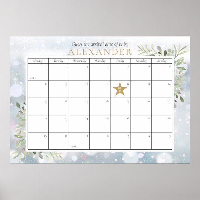 Vinter-blommans babyvisningsprogram gissar att för poster (Framsidan)