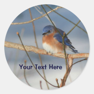 Vinter Bluebird Animal Sticker Runt Klistermärke