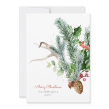 Vinter Botanisk Grönska Foto Platt