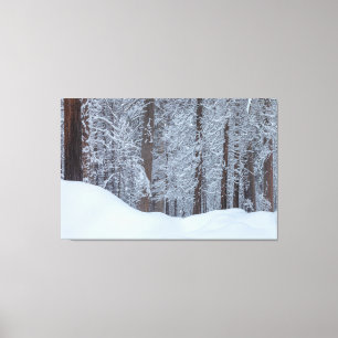 Vinter Canvastryck