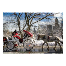 Vinter Carriage Horses in Central Park