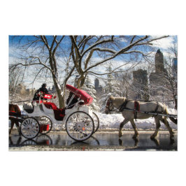 Vinter Carriage Horses in Central Park Fototryck