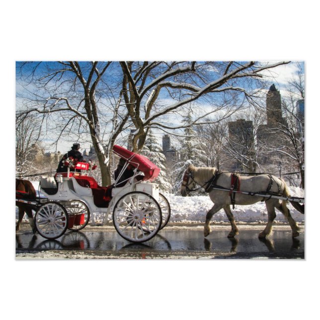 Vinter Carriage Horses in Central Park Fototryck (Framsidan)