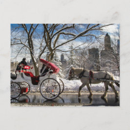 Vinter Carriage Horses in Central Park Vykort