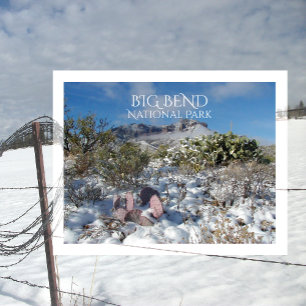 Vinter, Chisosbergen, Big Bend National Park Vykort