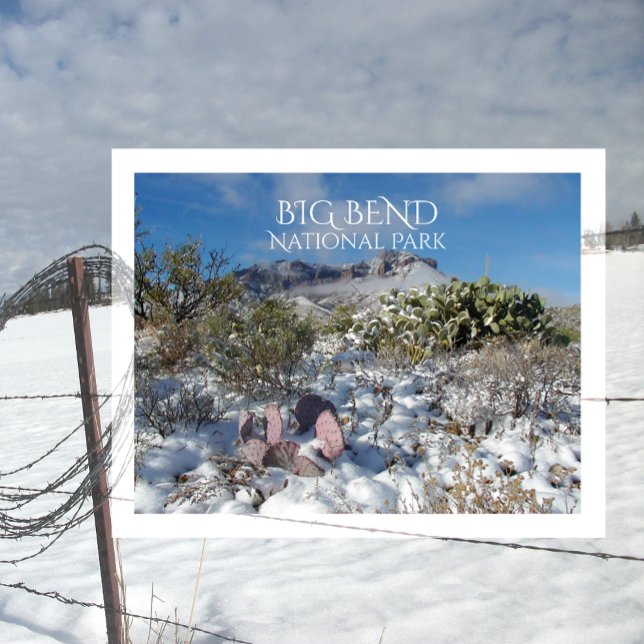 Vinter, Chisosbergen, Big Bend National Park Vykort (Skapare uppladdad)