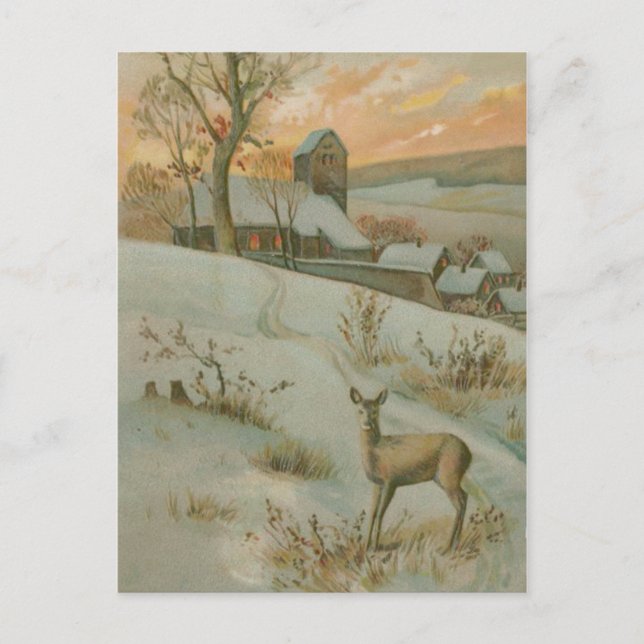Vinter Fält Hjort Kyrka Snö Vykort (Framsida)