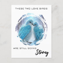 *~* Vinter FOTO  Kärleksfåglar AP54-årsjubileum